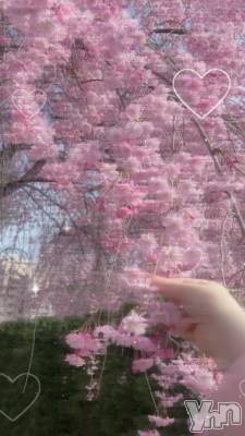 甲府ソープ オレンジハウス もも(23)の4月22日写メブログ「明後日からになりました🌸💖」