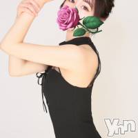 ���ܻԥ���Х��顦����� ��ͥ饦�� �ȿ�� �����å�������(���ȥʥ饦�󥸥��å�������) �ȿ�ä�����β���(2����)