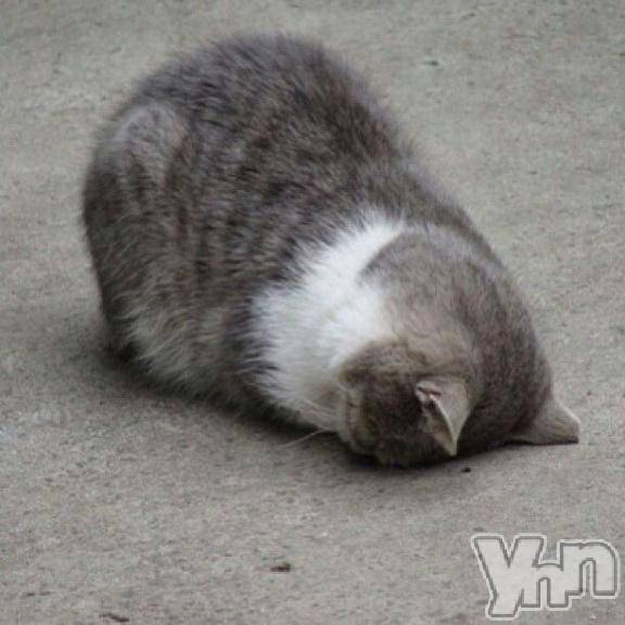 甲府ソープBARUBORA(バルボラ) しおん(22)の10月26日写メブログ「🥲🥲🥲🥲🥲」