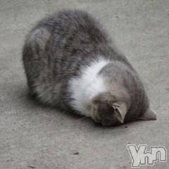 甲府ソープBARUBORA(バルボラ) しおん(22)の10月26日写メブログ「🥲🥲🥲🥲🥲」