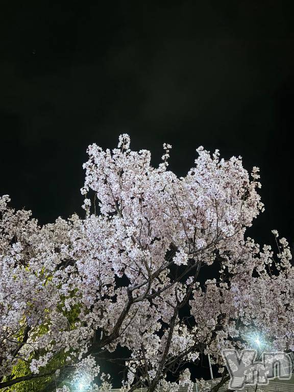 甲府ソープBARUBORA(バルボラ) えいみ(21)の3月19日写メブログ「25日まで！」