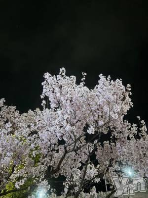 甲府ソープ BARUBORA(バルボラ) えいみ(21)の3月19日写メブログ「25日まで！」