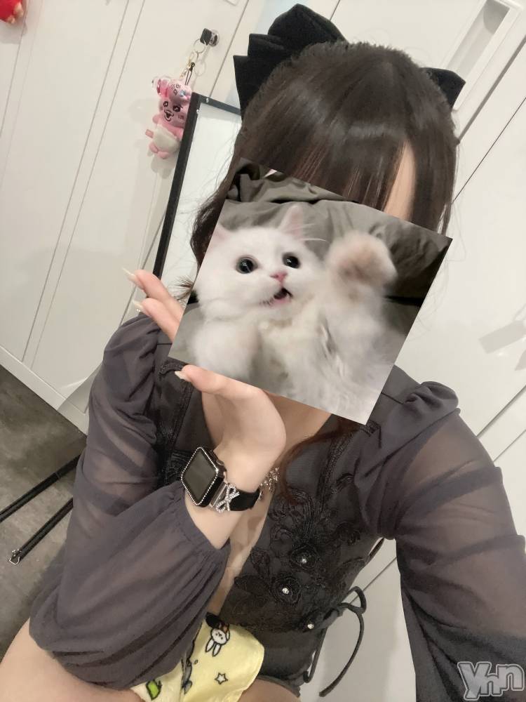 ���ܥ���Х��顦�����BRILLAR(�֥ꥸ�㡼��) �³��������Ϻ��6��11���̥�֥�����70.�������Υ�����ס�