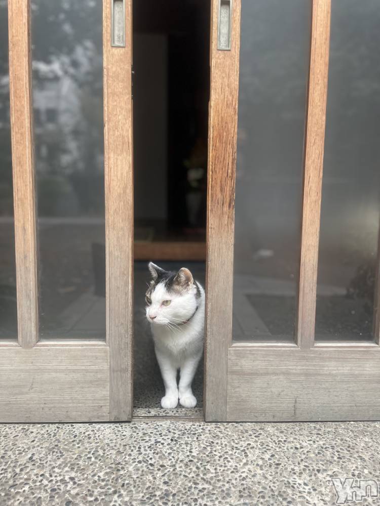 ���ܥ���Х��顦�����BRILLAR(�֥ꥸ�㡼��) �³��������Ϻ��11��30���̥�֥�����462.�����ߤä��äơ�