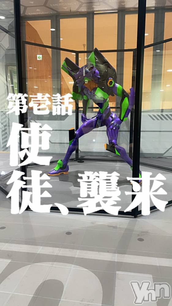 ���ܥ���Х��顦�����BRILLAR(�֥ꥸ�㡼��) �³��������Ϻ��12��3���̥�֥�����487.see through��