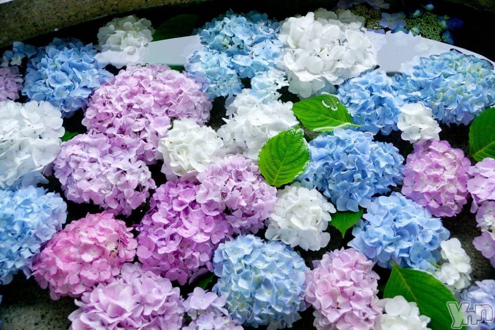 ���ܥ���Х��顦�����BRILLAR(�֥ꥸ�㡼��) �³��������Ϻ��2��2���̥�֥�����612.�ľ�ϻ������