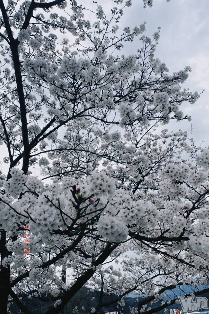 ���ܥ���Х��顦�����BRILLAR(�֥ꥸ�㡼��) �³��������Ϻ��2��17���̥�֥�����647.�����Ȥ����Τϥ��å���������