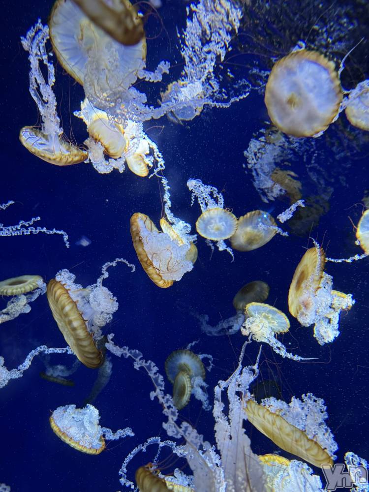 ���ܥ���Х��顦�����BRILLAR(�֥ꥸ�㡼��) �³��������Ϻ��3��10���̥�֥�����692.�ͤ����á�����ء�