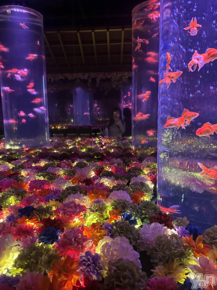 ���ܥ���Х��顦�����BRILLAR(�֥ꥸ�㡼��) �³��������Ϻ��4��13���̥�֥�����795.����������