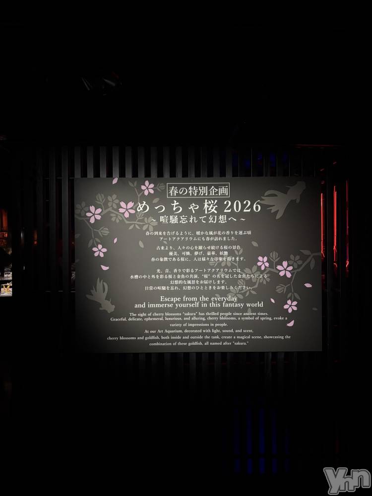 ���ܥ���Х��顦�����BRILLAR(�֥ꥸ�㡼��) �³��������Ϻ��4��14���̥�֥�����801.���ĥʥ�󥵡�