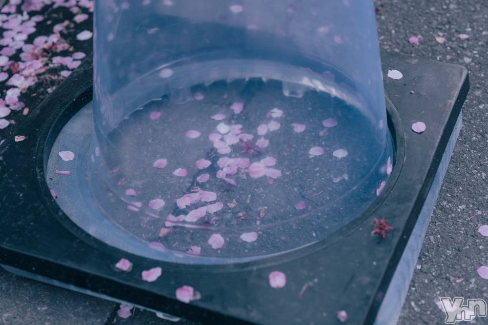 ���ܥ���Х��顦�����BRILLAR(�֥ꥸ�㡼��) �³��������Ϻ��4��22���̥�֥�����826.��ˡ����