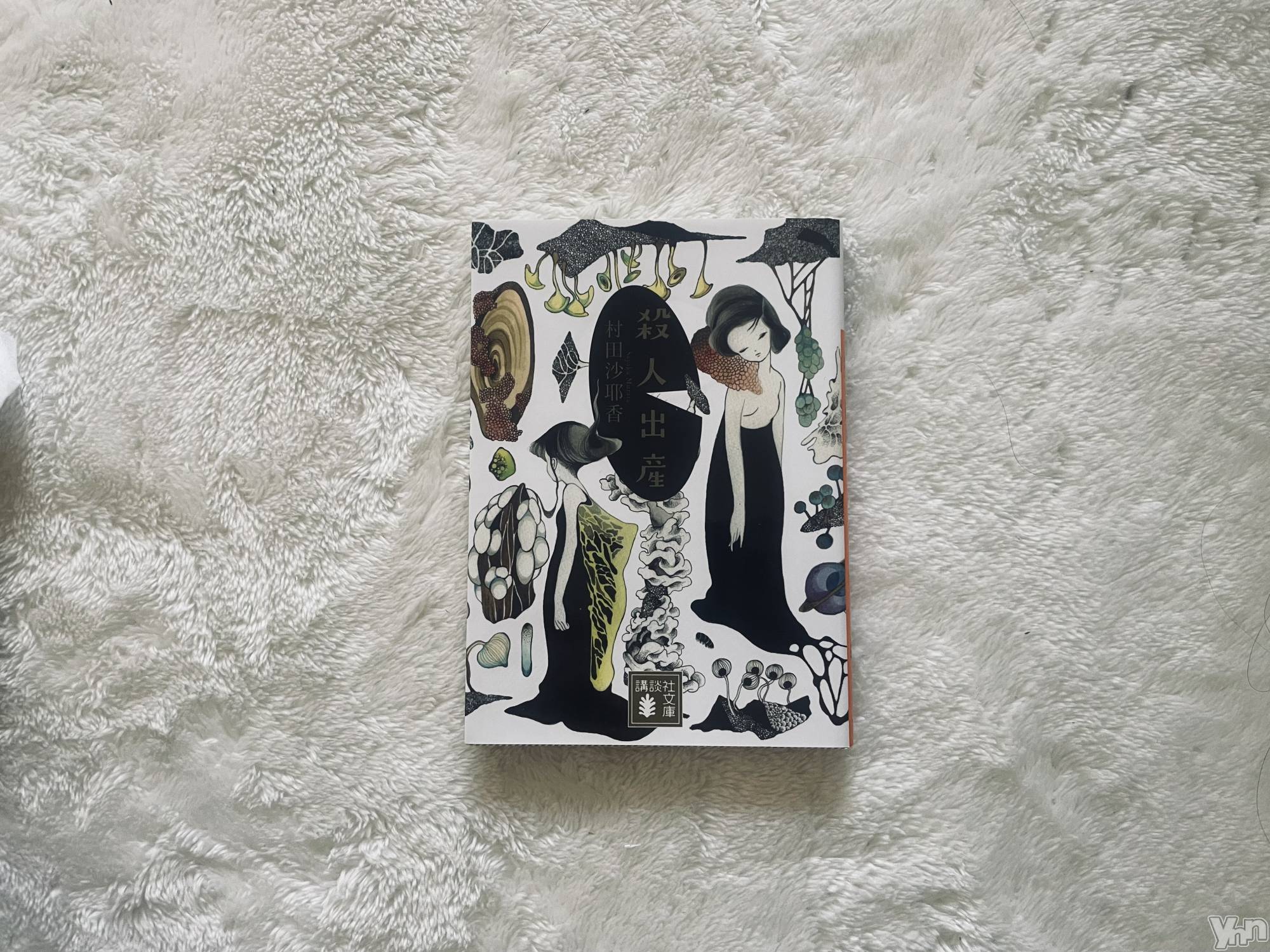 ���ܥ���Х��顦�����BRILLAR(�֥ꥸ�㡼��) ��2025ǯ9��23���̥�֥�����244.�Ƶ٤������⳧�빽��ͤ˸������