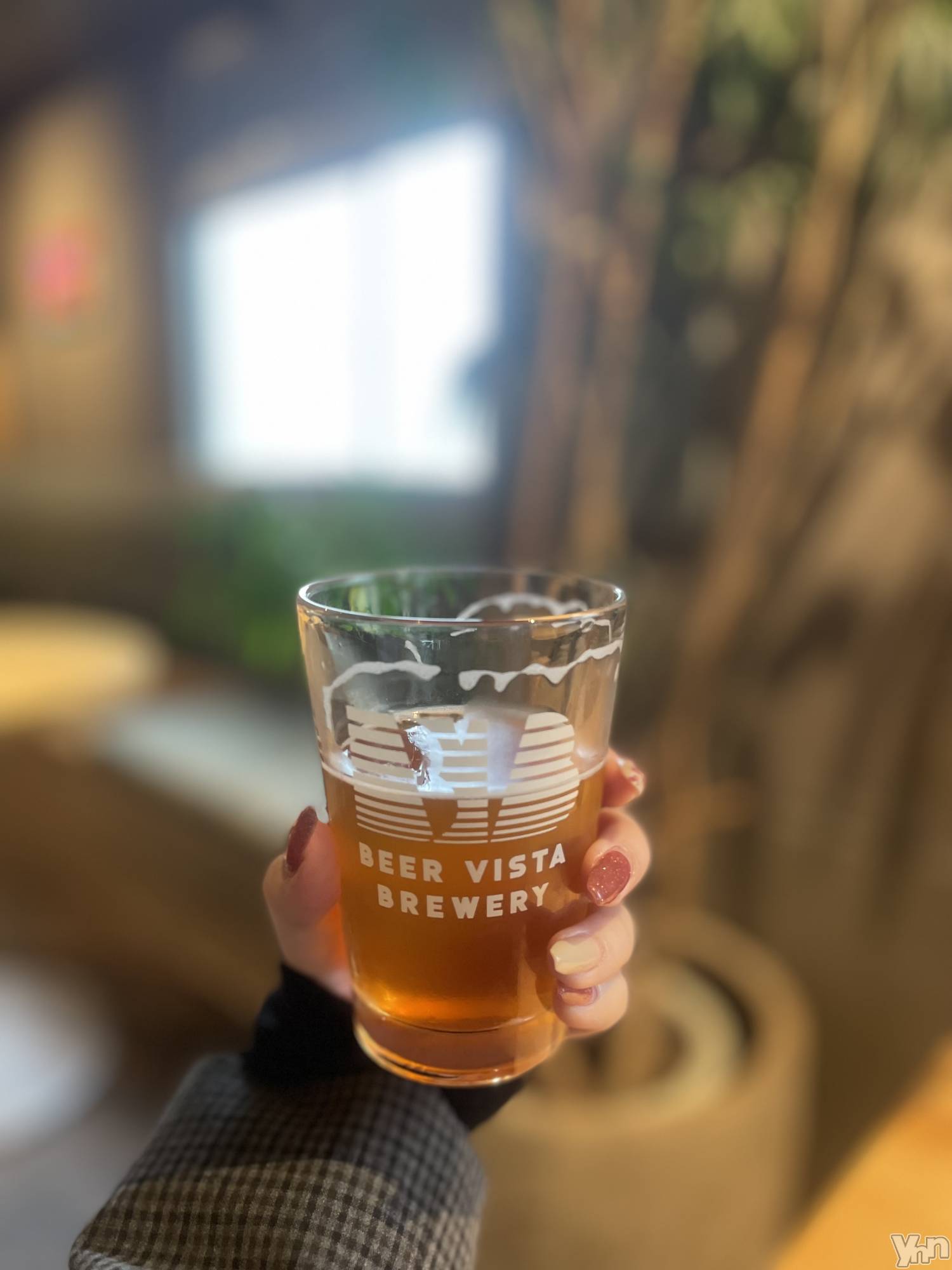 ���ܥ���Х��顦�����BRILLAR(�֥ꥸ�㡼��) ��2025ǯ11��2���̥�֥�����355.��˾��