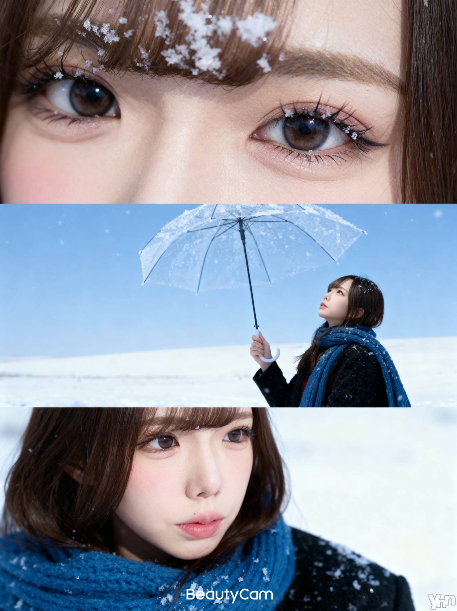 ���ܥ���Х��顦�����BRILLAR(�֥ꥸ�㡼��) ��2025ǯ11��6���̥�֥�����371.Ĵ̣���Ϲ�����ˡ�