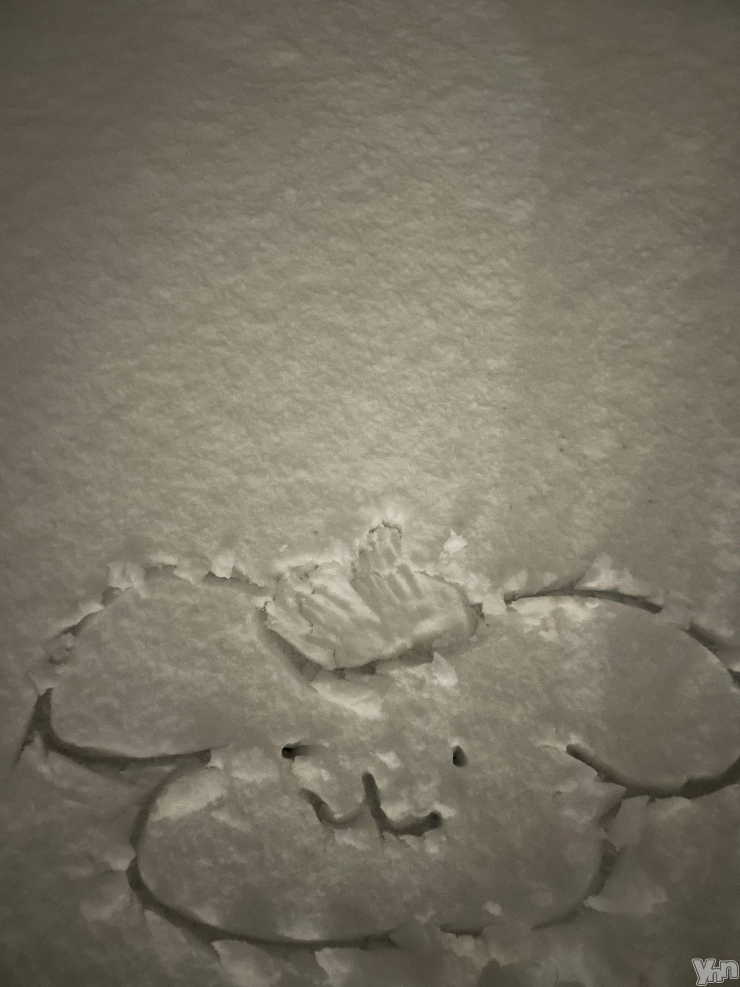 ���ܥ���Х��顦�����BRILLAR(�֥ꥸ�㡼��) ��2025ǯ11��14���̥�֥�����389.���ġ�