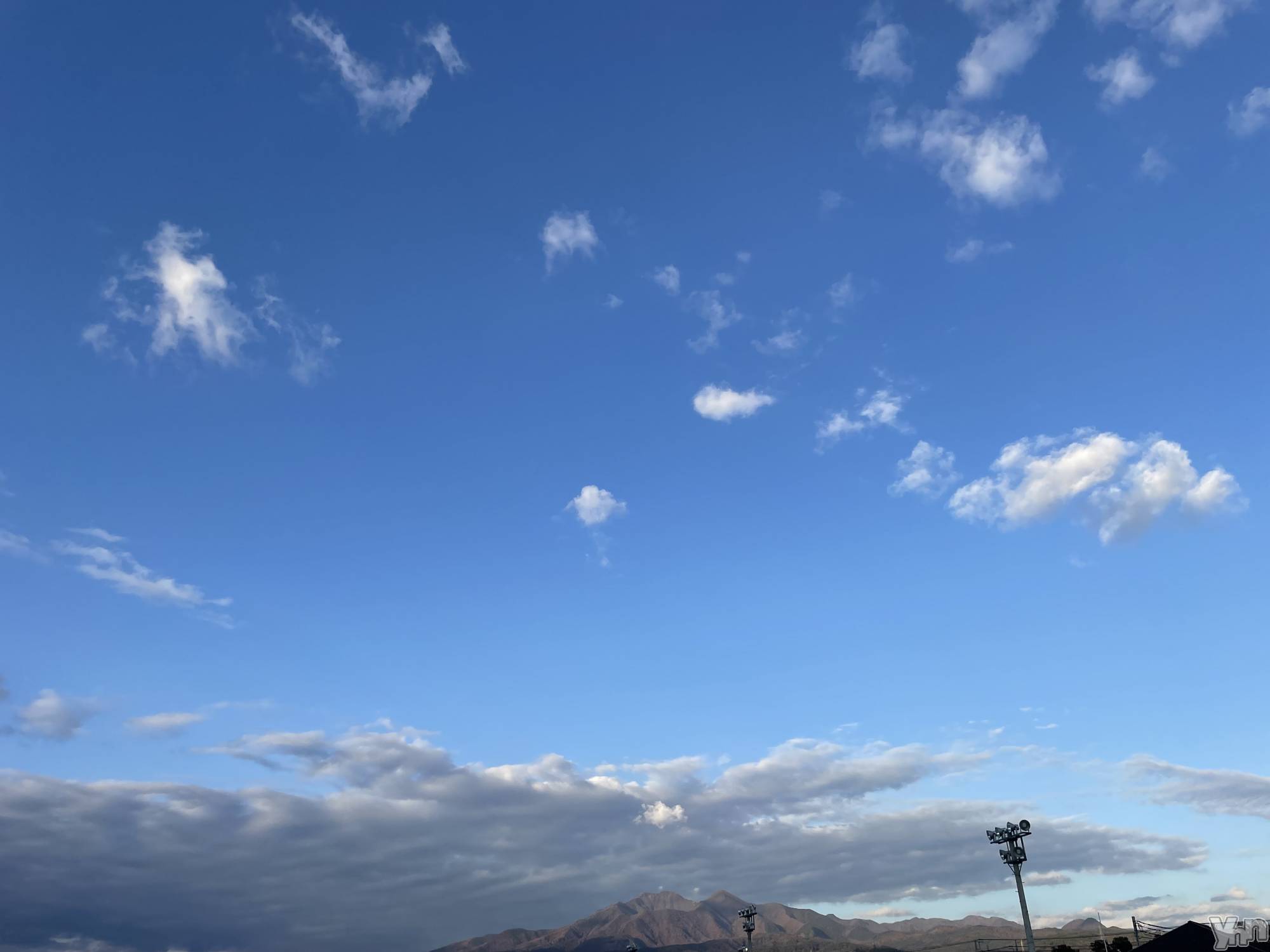 ���ܥ���Х��顦�����BRILLAR(�֥ꥸ�㡼��) ��2025ǯ11��17���̥�֥�����394.����ˤ��äƤ������Ȱ������Ȥ������