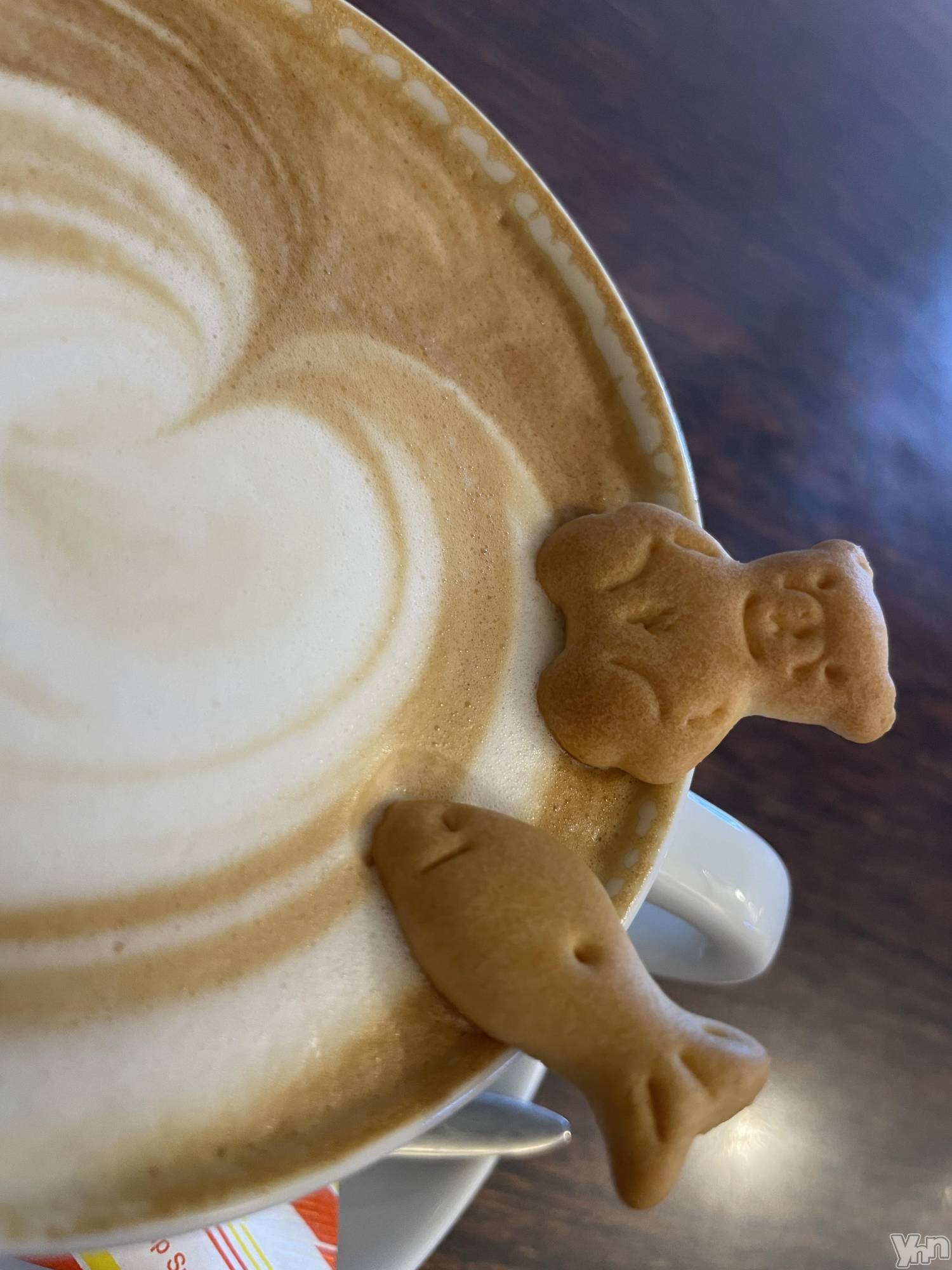 ���ܥ���Х��顦�����BRILLAR(�֥ꥸ�㡼��) ��2025ǯ11��29���̥�֥�����442.sweetsweet holiday��