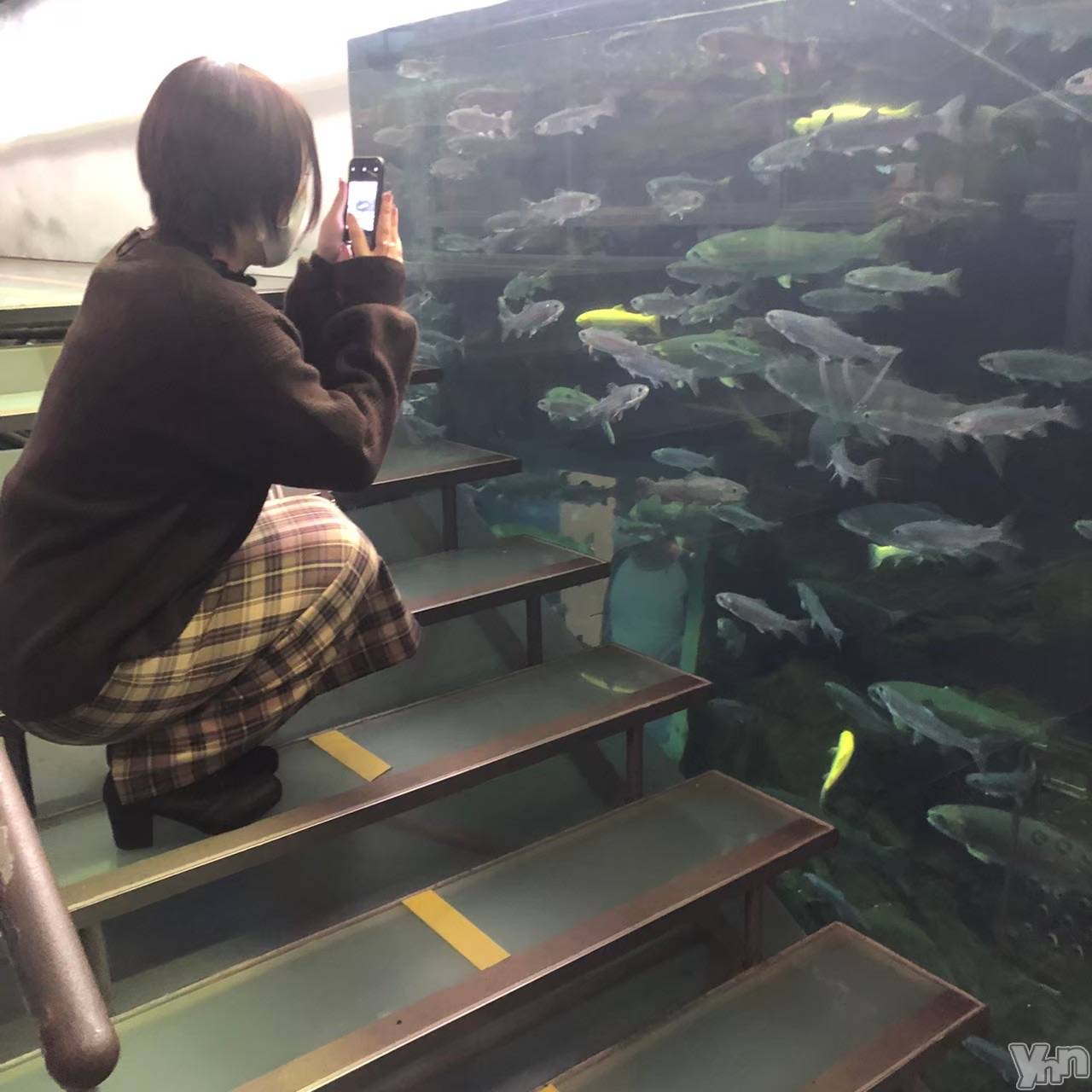 ���ܥ���Х��顦�����BRILLAR(�֥ꥸ�㡼��) ��2025ǯ11��29���̥�֥�����452.�ơ������ʤ��ǡ�