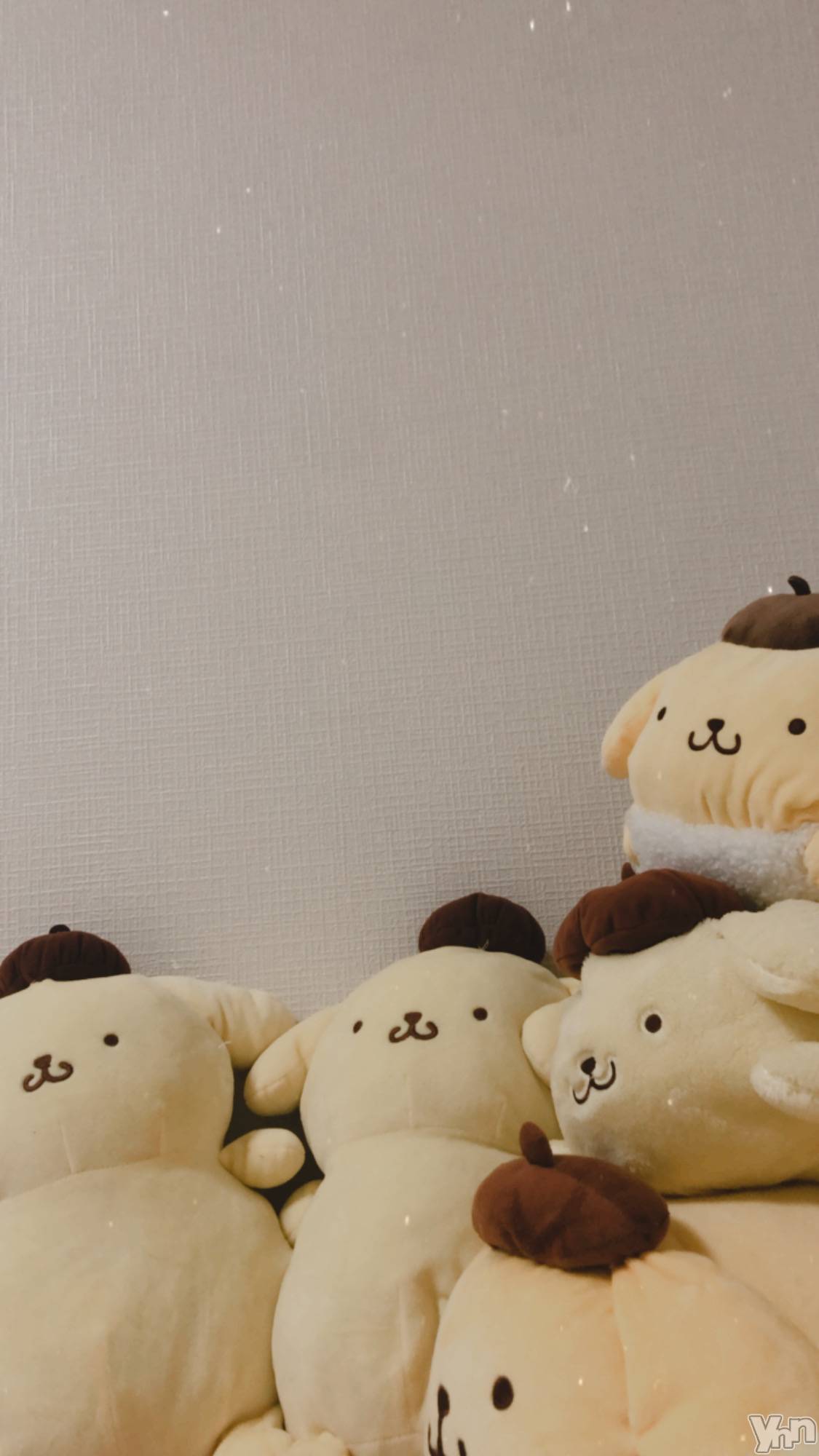 ���ܥ���Х��顦�����BRILLAR(�֥ꥸ�㡼��) ��2025ǯ12��1���̥�֥�����470.�������������