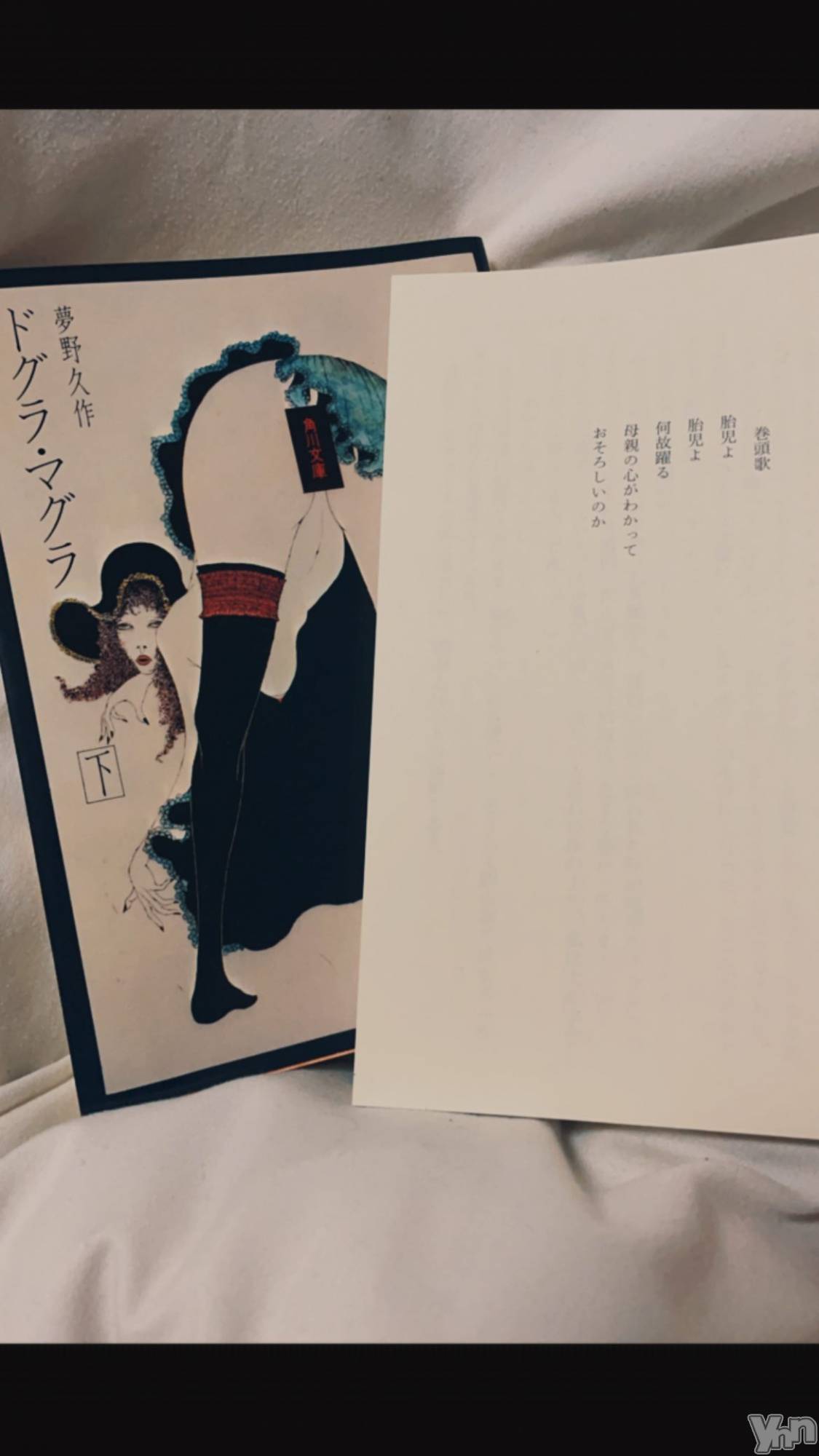 ���ܥ���Х��顦�����BRILLAR(�֥ꥸ�㡼��) ��2025ǯ12��1���̥�֥�����481.���Ȥ������