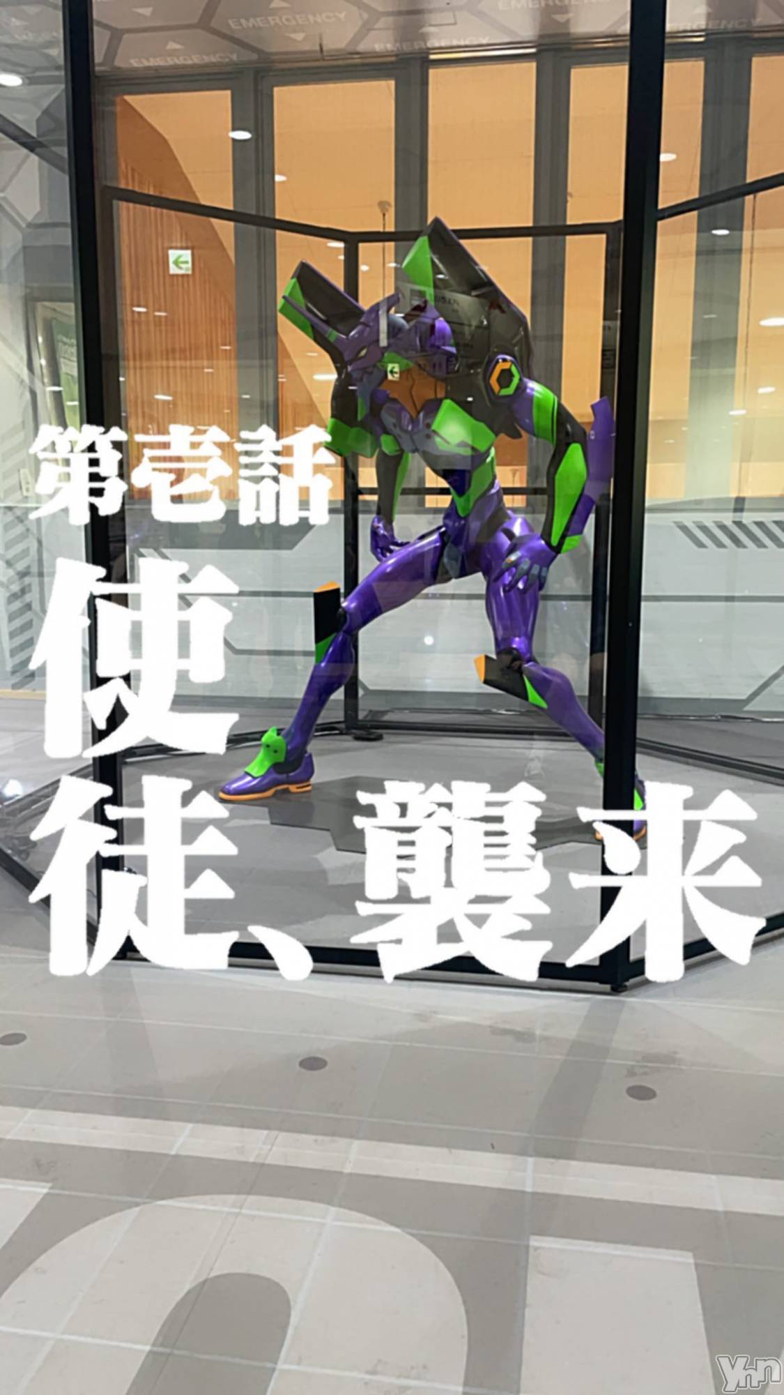 ���ܥ���Х��顦�����BRILLAR(�֥ꥸ�㡼��) ��2025ǯ12��3���̥�֥�����487.see through��