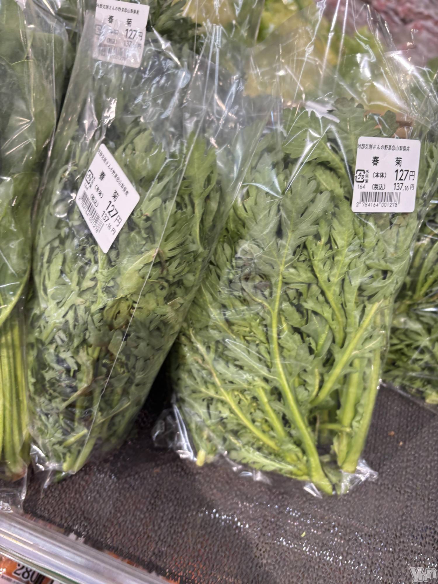 ���ܥ���Х��顦�����BRILLAR(�֥ꥸ�㡼��) ��2025ǯ12��15���̥�֥�����515.���Ե������Ǥ�����ͳ��