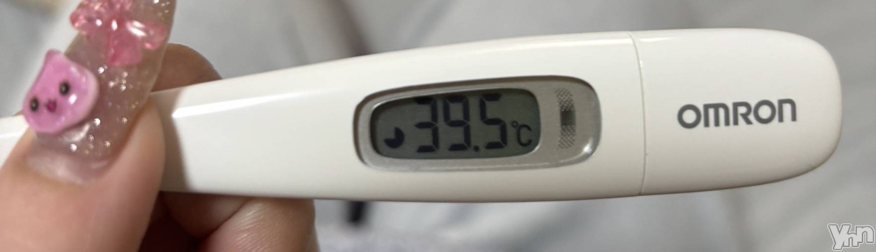 ���ܥ���Х��顦�����BRILLAR(�֥ꥸ�㡼��) ��2026ǯ2��5���̥�֥�����614.���Ť��������ۤ���