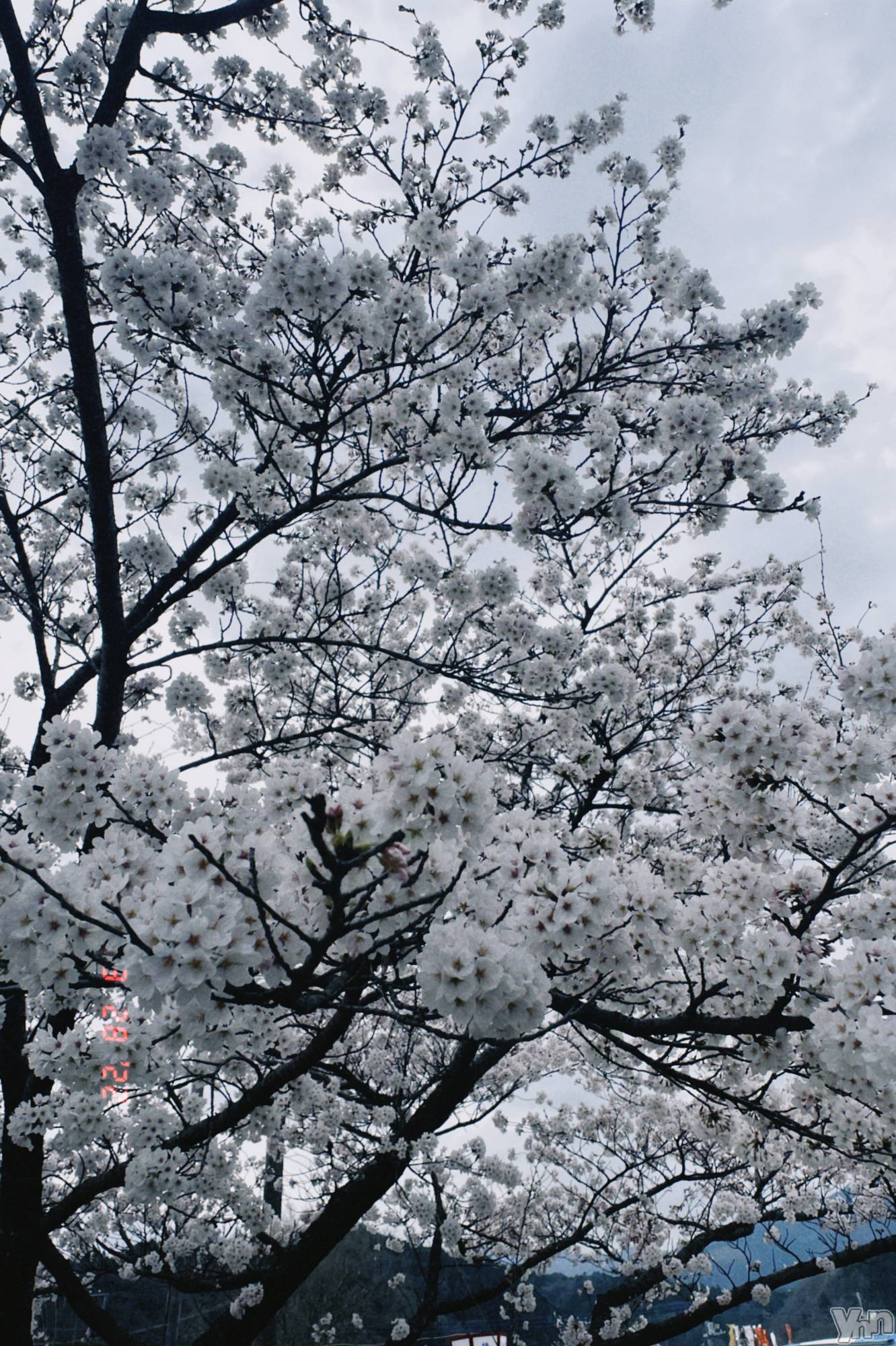 ���ܥ���Х��顦�����BRILLAR(�֥ꥸ�㡼��) ��2026ǯ2��17���̥�֥�����647.�����Ȥ����Τϥ��å���������