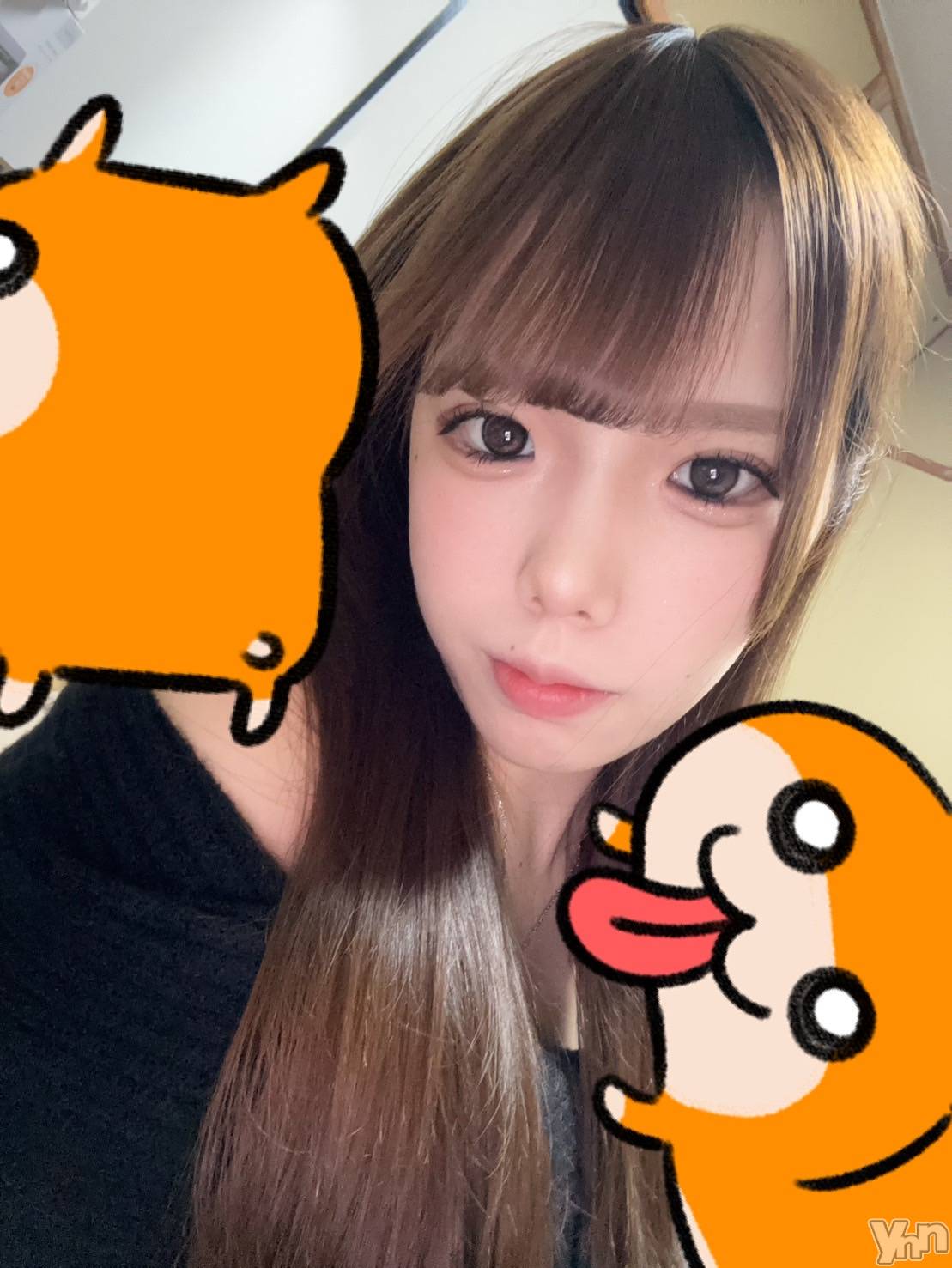 ���ܥ���Х��顦�����BRILLAR(�֥ꥸ�㡼��) ��2026ǯ2��24���̥�֥�����666.�޽񼼤η��ء�