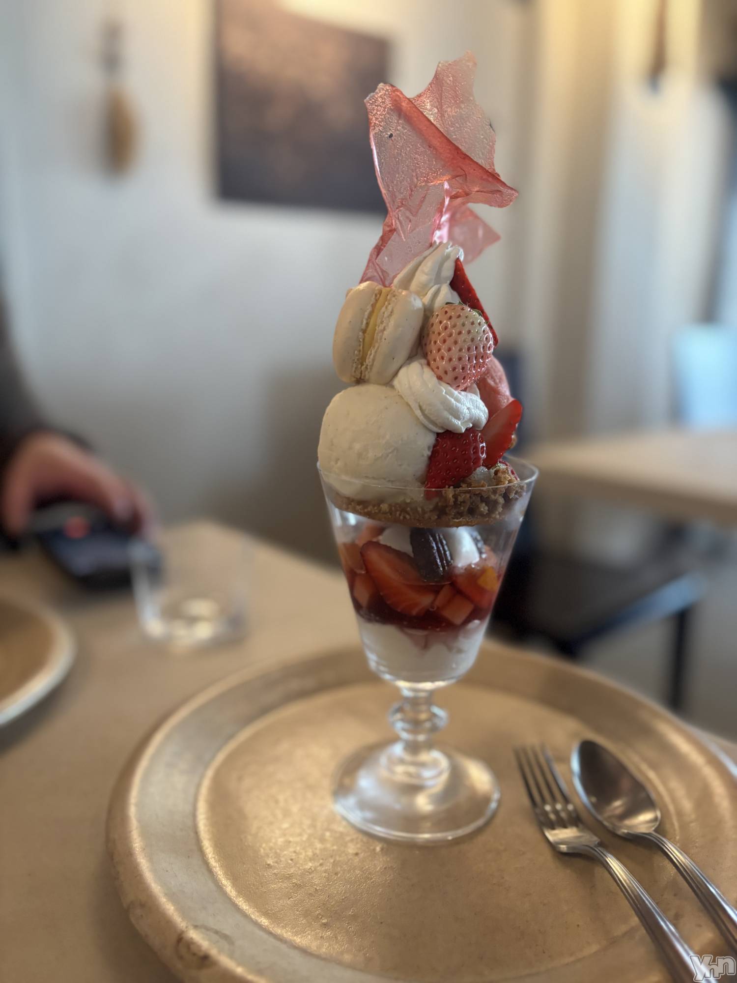 ���ܥ���Х��顦�����BRILLAR(�֥ꥸ�㡼��) ��2026ǯ3��31���̥�֥�����749.Nobody��