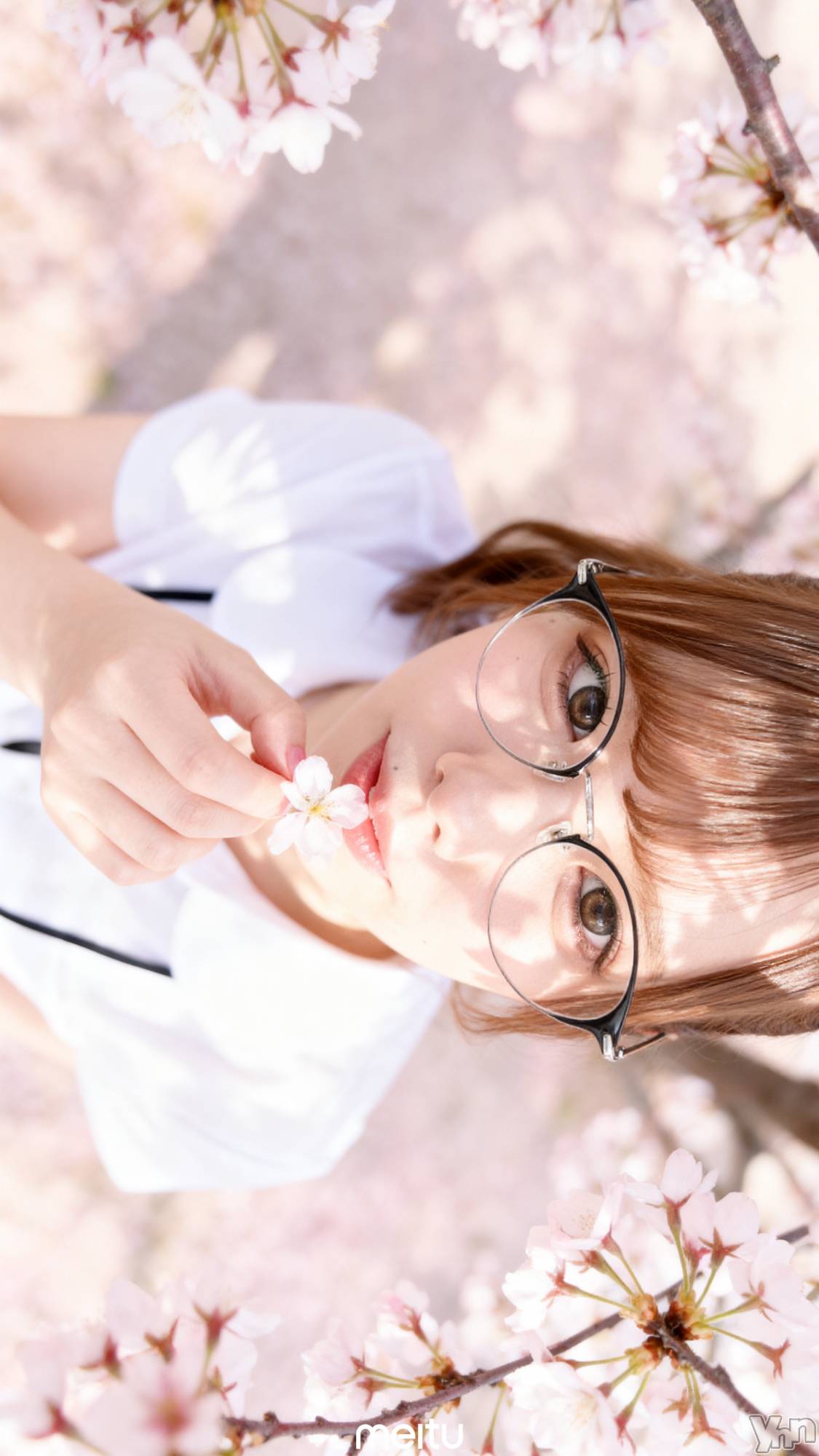 ���ܥ���Х��顦�����BRILLAR(�֥ꥸ�㡼��) ��2026ǯ4��1���̥�֥�����753.�Х쥨�Ⱦ�ǯ��