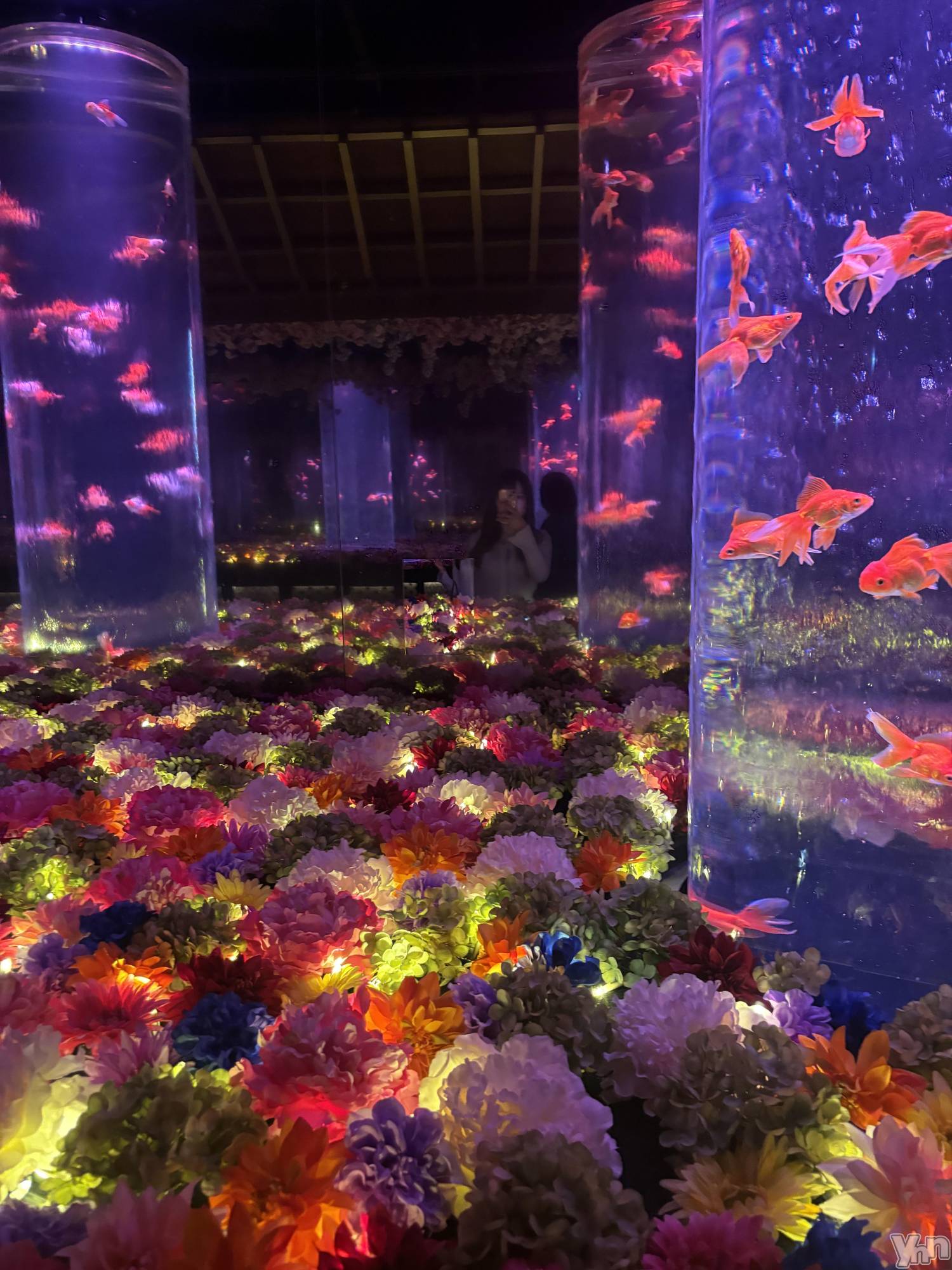 ���ܥ���Х��顦�����BRILLAR(�֥ꥸ�㡼��) ��2026ǯ4��13���̥�֥�����795.����������