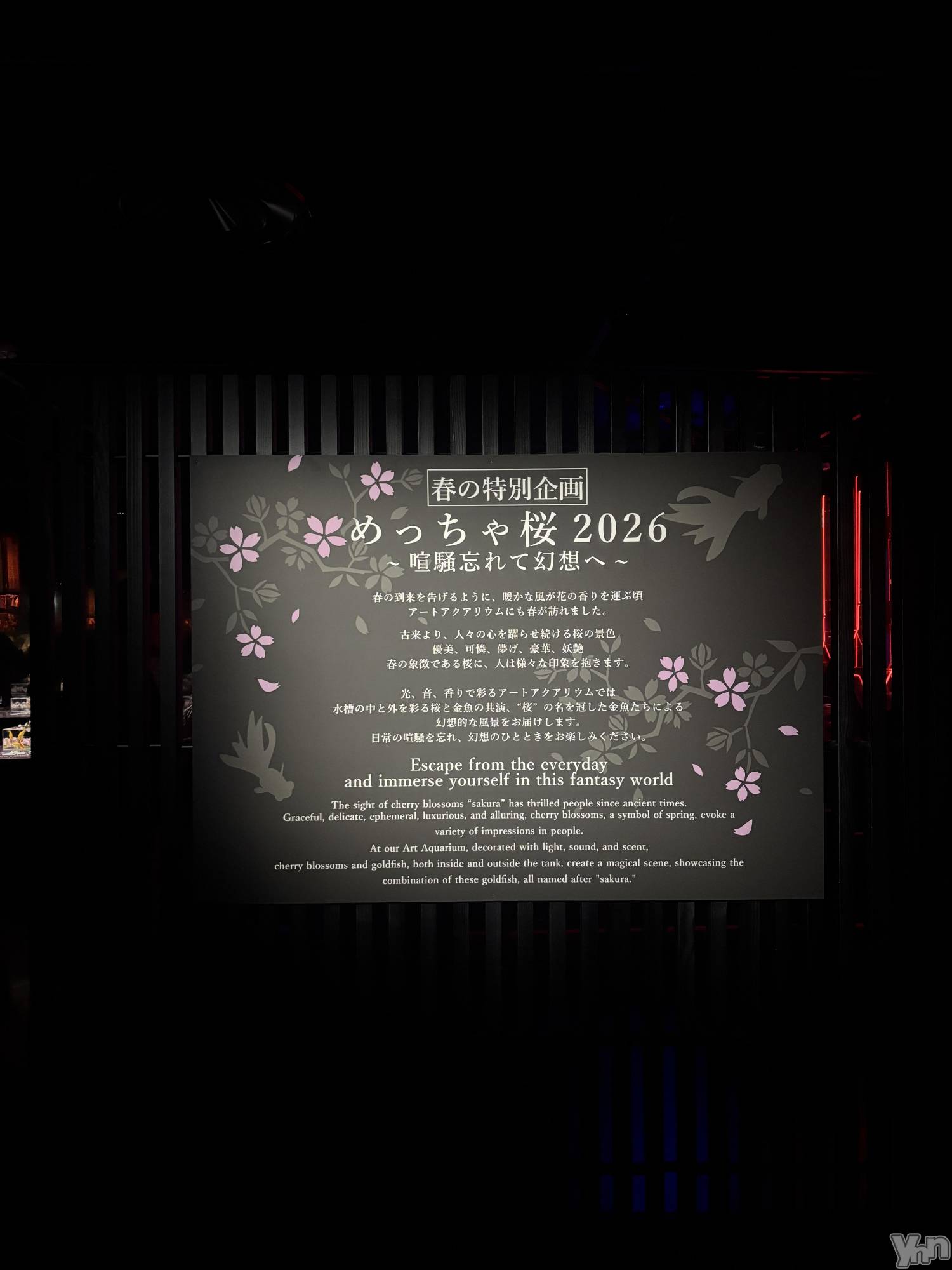 ���ܥ���Х��顦�����BRILLAR(�֥ꥸ�㡼��) ��2026ǯ4��14���̥�֥�����801.���ĥʥ�󥵡�