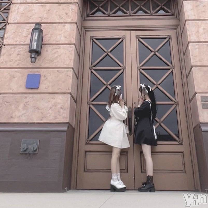 ���ܥ���Х��顦�����BRILLAR(�֥ꥸ�㡼��) ��2026ǯ4��15���̥�֥�����804.���楿��