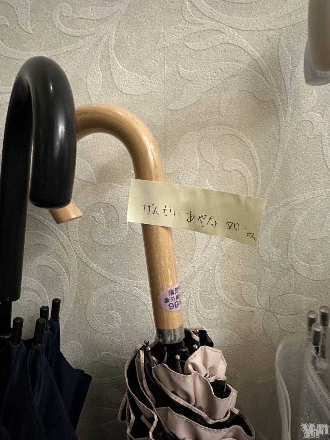 ���ܥ���Х��顦�����BRILLAR(�֥ꥸ�㡼��) ��2026ǯ4��16���̥�֥�����808.�ɥ꡼�ޡ������ϥ���