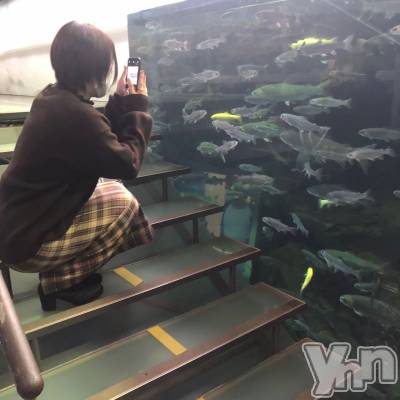 ���ܥ���Х��顦�����BRILLAR(�֥ꥸ�㡼��) �³��������Ϻ(24)��11��29���̥�֥�����452.�ơ������ʤ��ǡ�