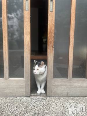 ���ܥ���Х��顦�����BRILLAR(�֥ꥸ�㡼��) �³��������Ϻ(24)��11��30���̥�֥�����462.�����ߤä��äơ�