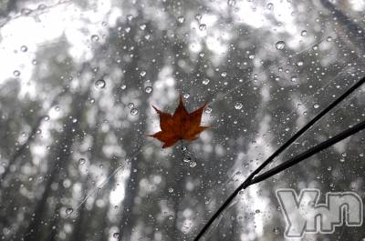 ���ܥ���Х��顦�����BRILLAR(�֥ꥸ�㡼��) �³��������Ϻ(24)��12��28���̥�֥�����548.���Τ��Ȥ�פ��ʤ����