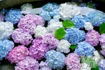 ���ܥ���Х��顦�����BRILLAR(�֥ꥸ�㡼��) �³��������Ϻ(24)��2��2���̥�֥�����612.�ľ�ϻ������