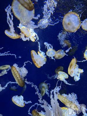 ���ܥ���Х��顦�����BRILLAR(�֥ꥸ�㡼��) �³��������Ϻ(24)��3��10���̥�֥�����692.�ͤ����á�����ء�