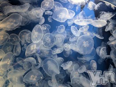 ���ܥ���Х��顦�����BRILLAR(�֥ꥸ�㡼��) �³��������Ϻ(24)��3��14���̥�֥�����706.��Τ����ï���Τ���ˡ�