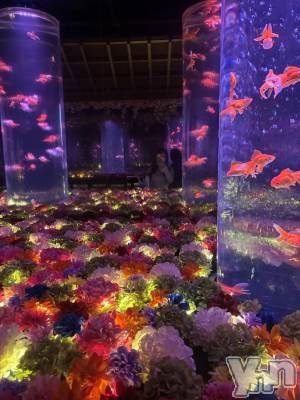 ���ܥ���Х��顦�����BRILLAR(�֥ꥸ�㡼��) �³��������Ϻ(24)��4��13���̥�֥�����795.����������