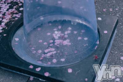 ���ܥ���Х��顦�����BRILLAR(�֥ꥸ�㡼��) �³��������Ϻ(24)��4��22���̥�֥�����826.��ˡ����