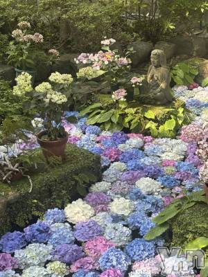 ���ܥ���Х��顦�����BRILLAR(�֥ꥸ�㡼��) �³��������Ϻ(24)��6��22���̥�֥�����1070.ή���������Ρ�