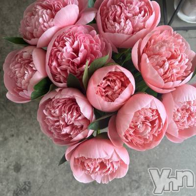 ���ܥ���Х��顦�����BRILLAR(�֥ꥸ�㡼��) �³��������Ϻ(24)��6��23���̥�֥�����1078.�֤�̾��