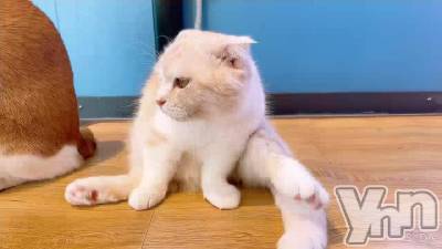 101.��������Ϣ³���Ƶ�����ʤ������˰�������Ϣ³���Ƶ��������