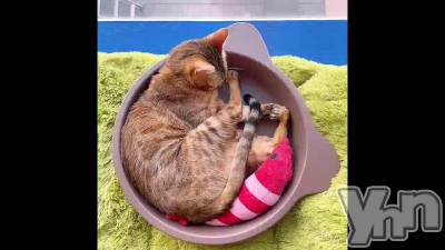 126.̵��������Τ�õ�����Ϥ������ι�ư���̤�