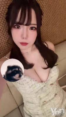 193.���ˤ��Τ��ä򤷤褦��