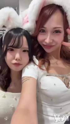 221.�������ϱﵯ������