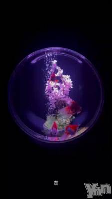 794.�Ǹ���ջ�